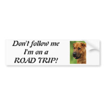 Shar Pei Dog Bumper Sticker