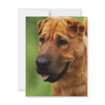 Shar Pei Dog Invitation