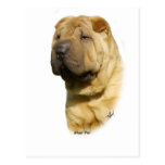 Shar Pei Post Card