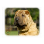 Shar Pei Post Cards