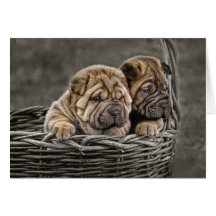 Shar-Pei Pups in Basket Greeting Card