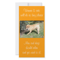 Shar Pei Rescue Blank CArd Photo Card Template