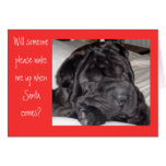 Shar Pei Santa Card