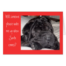 Shar Pei Santa Card