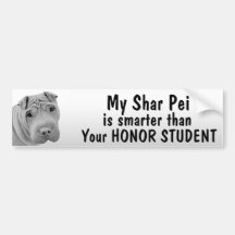 Shar Pei - Smarter than student - funny Bumper Stickers