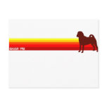 Shar Pei With Stripes Postcard