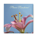 Share Sunshine! Magnet Pink Calla Lilies Blue Sky