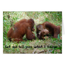 Sharing  Gossip Orangutan Friends Greeting Card