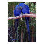 Sharing Secrets Greeting Card