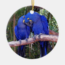 Sharing Secrets Christmas Ornament