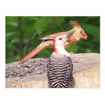 Sharing Seed Postcard