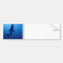 Shark Attack Bumper Stickers