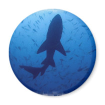 Shark Attack Magnet