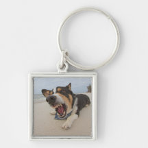 Shark Attack Simulation Keychain