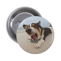 Shark Attack Simulation Pins