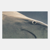 Shark Bite Me !!!! Rectangular Sticker