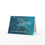Shark Card