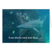 Shark Card