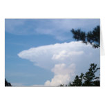 Shark Cloud Greeting Cards