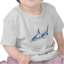 Shark Collection by FishTs.com