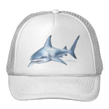 Shark Collection by FishTs.com Hats