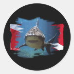 Shark Gear by Divers Den Sticker
