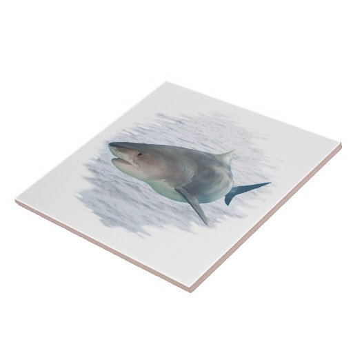 Shark in water 6X6 Tile