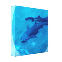 Shark Pair  Canvas Print
