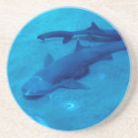 Shark Pair  Coaster