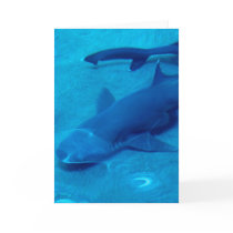Shark Pair Greeting Card