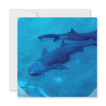 Shark Pair  Invitations