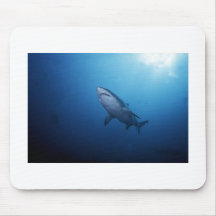 Shark Photo Mouse Pads