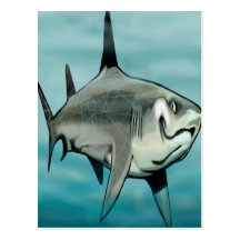 Shark Postcard