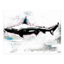 shark postcards