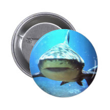 Shark Round Pin