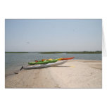 Shark Tooth Island KAYAKS cards