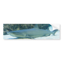 Sharks in Coral Reef Bumper Sticker