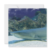 Sharks in Coral Reef Invitation