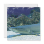 Sharks in Coral Reef Invitation