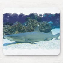 Sharks in Coral Reef Mouse Pad