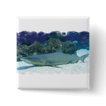 Sharks in Coral Reef Square Pin