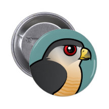 Sharp-shinned Hawk Pins
