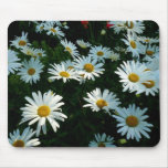 Shasta Daisies II Mouse Mat