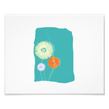 Shasta daisy graphics on blue background.png photographic print