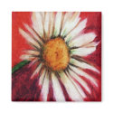Shasta Daisy II Magnet