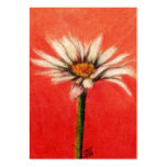Shasta Daisy III ACEO Art Trading Cards Business Cards