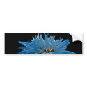 Shasta daisy love and meaning bumper stickers