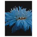 Shasta daisy love and meaning flyers
