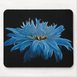 Shasta daisy love and meaning mousepads