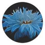 Shasta daisy love and meaning stickers